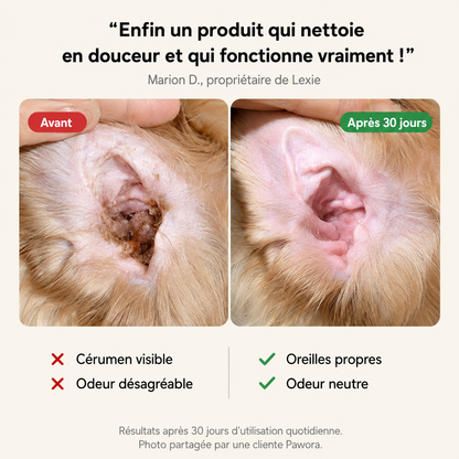 Soin Auriculaire Pour Chien