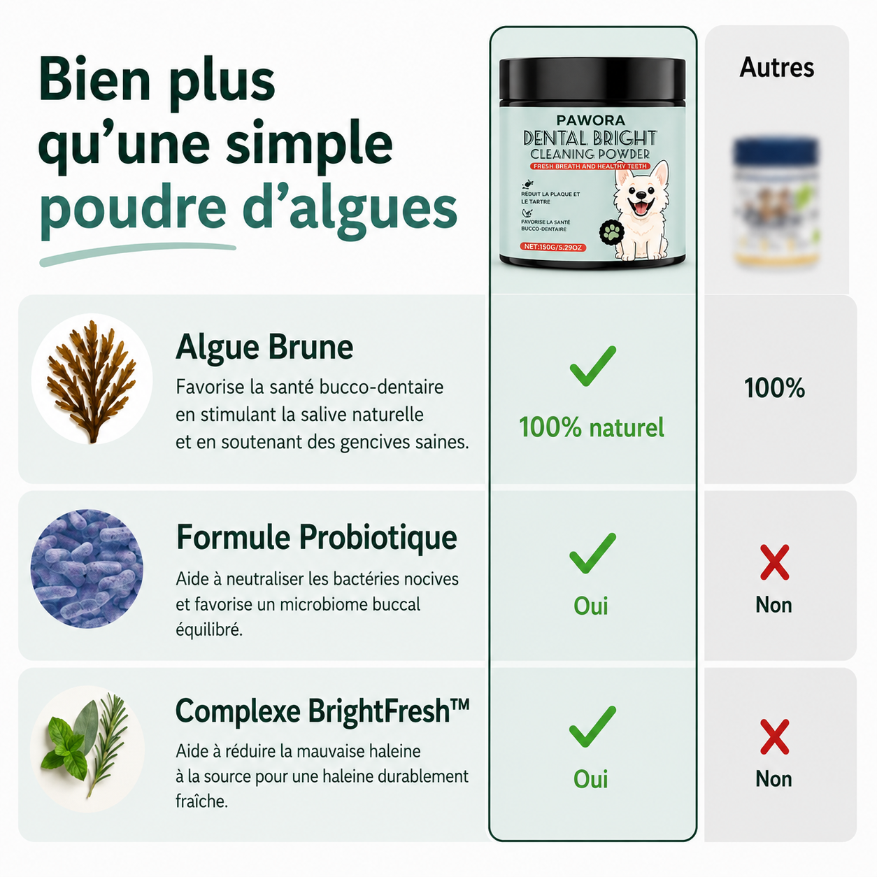 Poudre Dentaire Naturelle