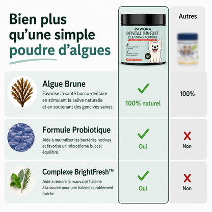 Poudre Dentaire Naturelle