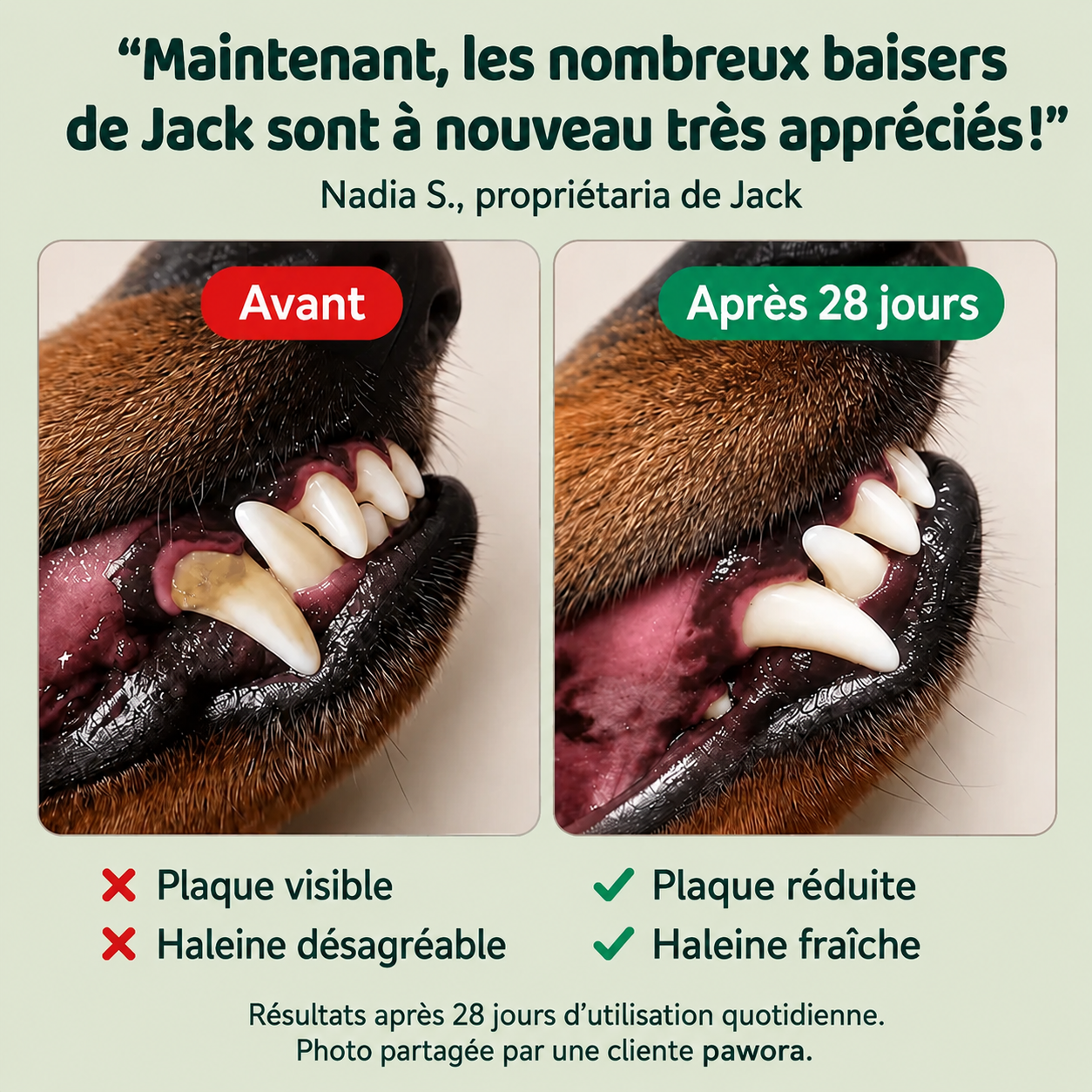 Spray Dentaire PureHaleine