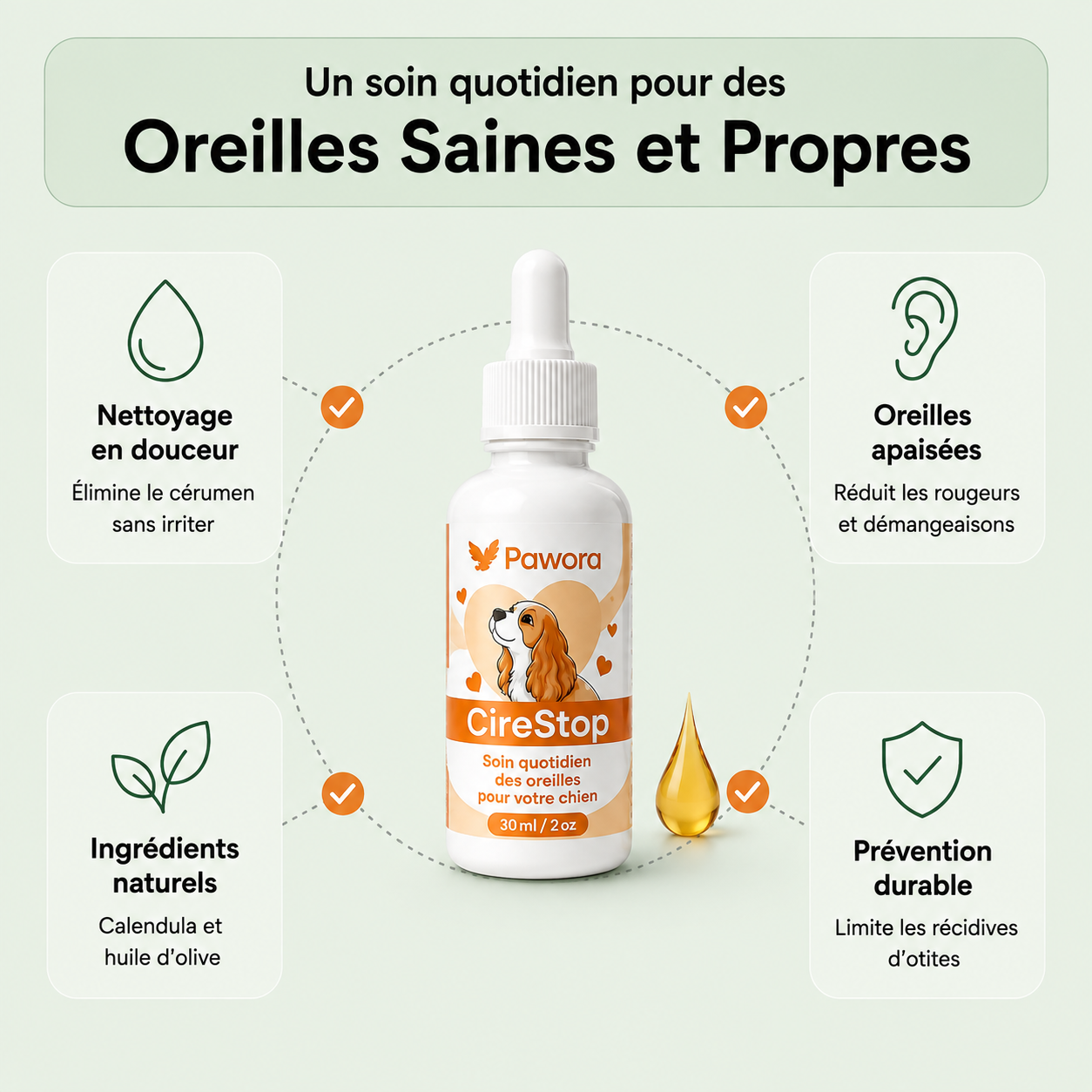 Soin Auriculaire Pour Chien