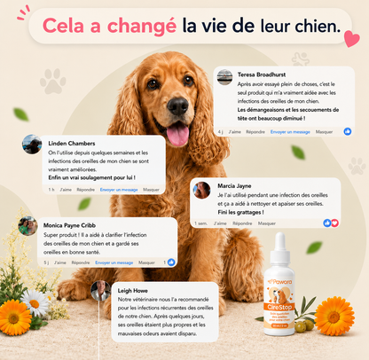 Soin Auriculaire Pour Chien
