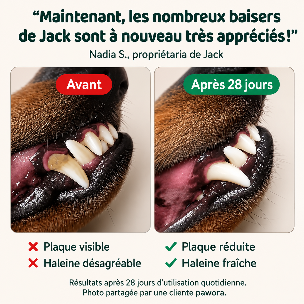 Poudre Dentaire Naturelle
