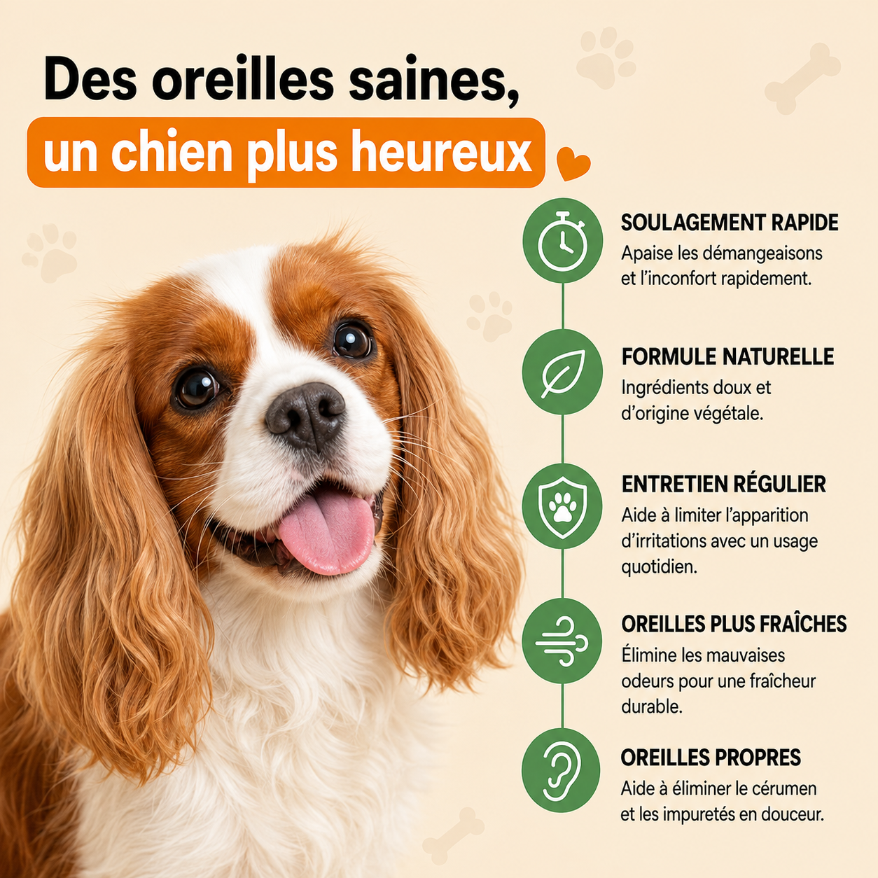 Soin Auriculaire Pour Chien