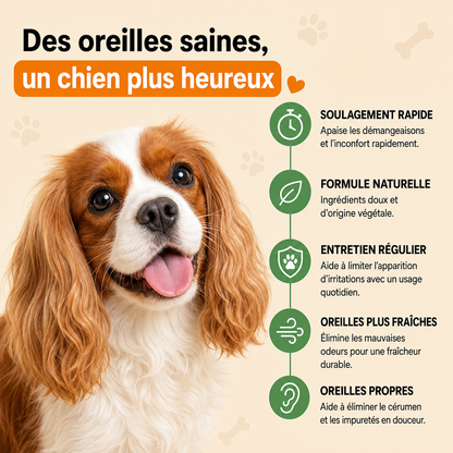 Soin Auriculaire Pour Chien