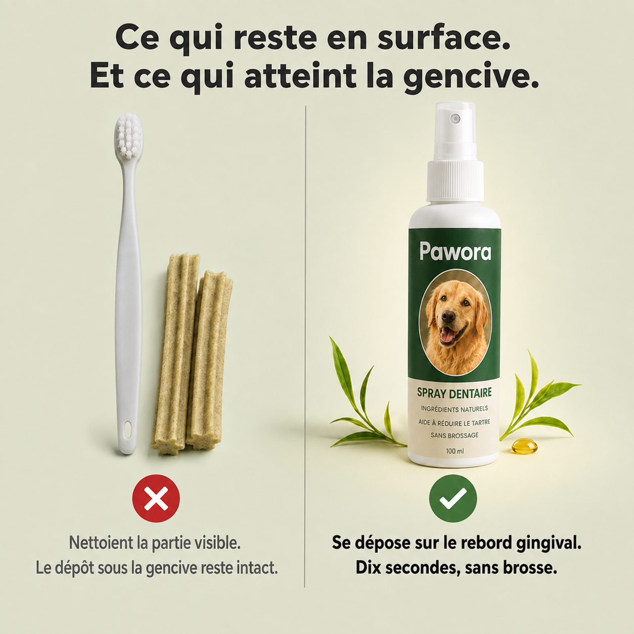 Spray Dentaire PureHaleine