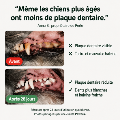 Poudre Dentaire Naturelle