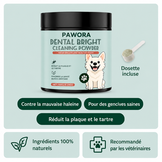 Poudre Dentaire Naturelle