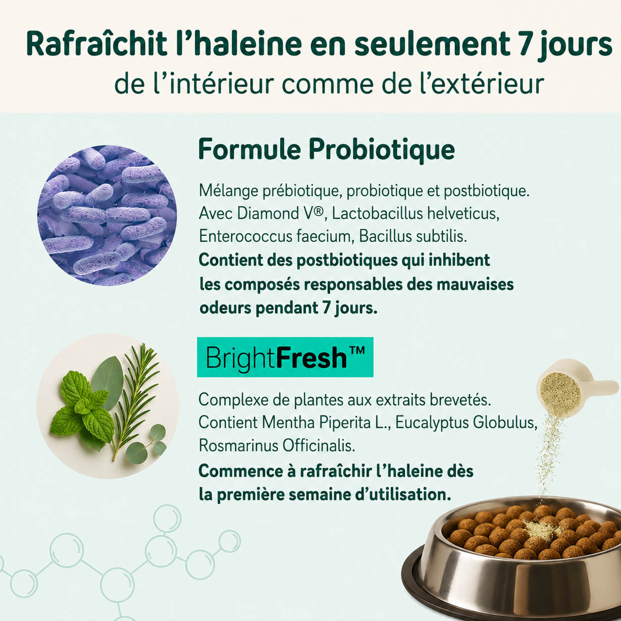 Poudre Dentaire Naturelle