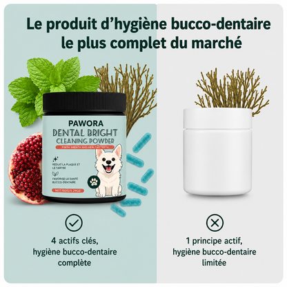 Poudre Dentaire Naturelle