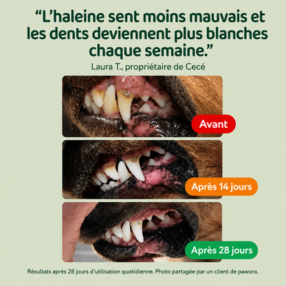 Spray Dentaire PureHaleine