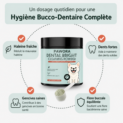 Poudre Dentaire Naturelle