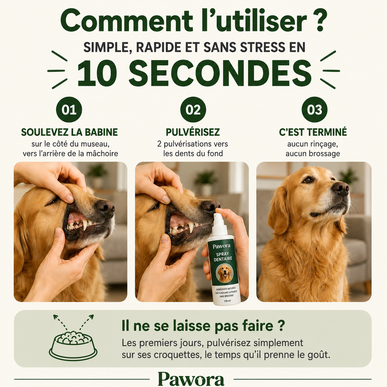 Spray Dentaire PureHaleine