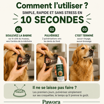 Spray Dentaire PureHaleine