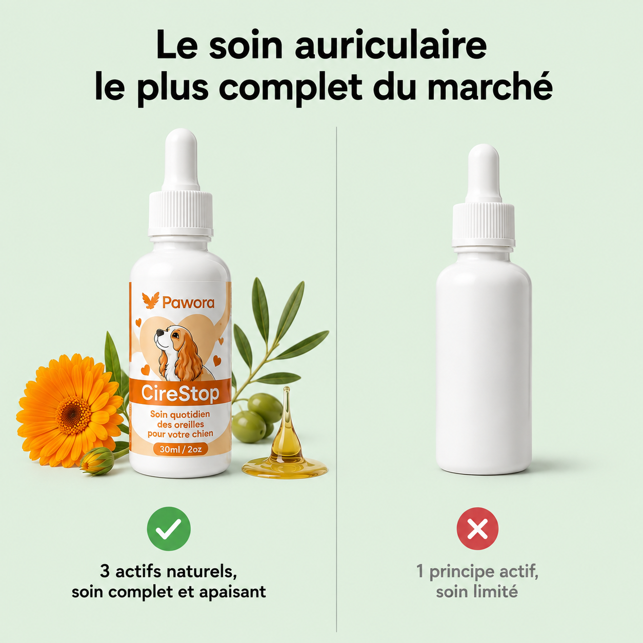 Soin Auriculaire Pour Chien