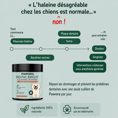 Poudre Dentaire Naturelle